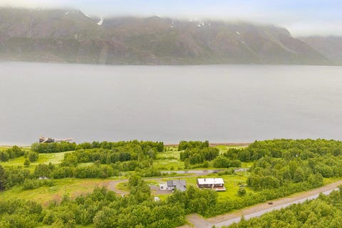Bilde 1 av annonsen