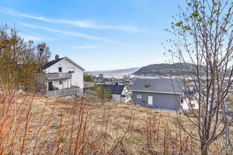 Bilde 1 av annonsen