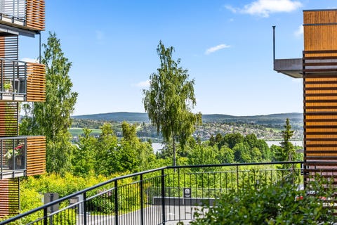 Bilde 2 av annonsen