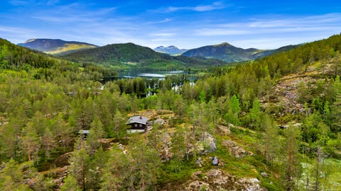 Bilde 1 av annonsen