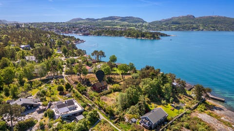 Bilde 1 av annonsen