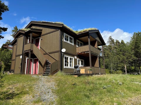 Bilde 1 av annonsen