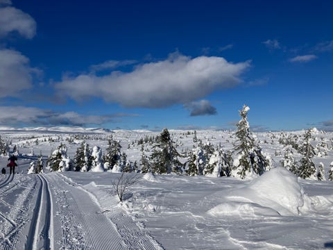 Bilde 2 av annonsen