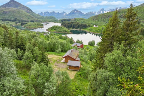 Bilde 1 av annonsen