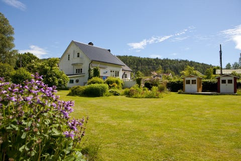 Bilde 1 av annonsen