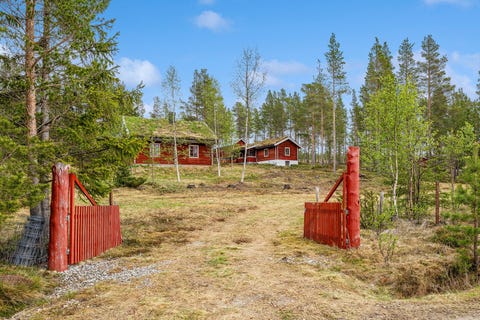 Bilde 1 av annonsen