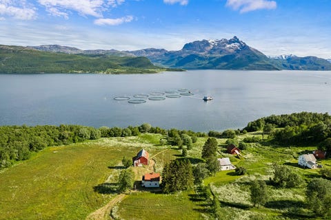 Bilde 1 av annonsen