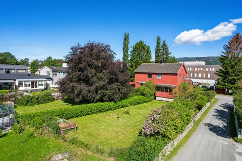 Bilde 1 av annonsen