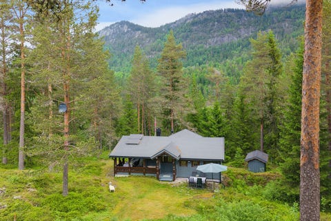 Bilde 1 av annonsen