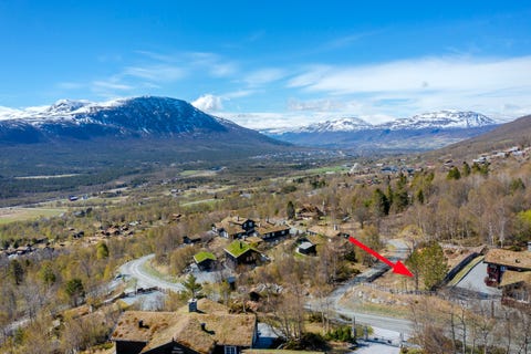 Bilde 1 av annonsen