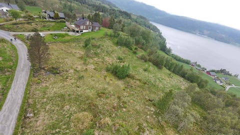 Bilde 1 av annonsen