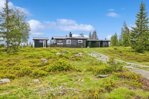 Bilde 1 av annonsen