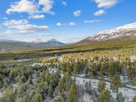 Bilde 2 av annonsen