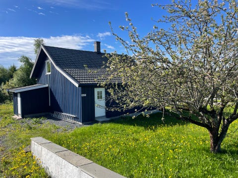 Bilde 2 av annonsen