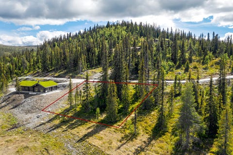 Bilde 2 av annonsen
