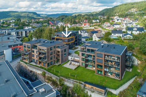 Bilde 1 av annonsen
