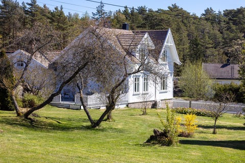 Bilde 1 av annonsen
