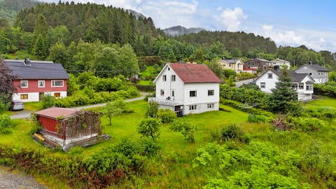 Bilde 1 av annonsen