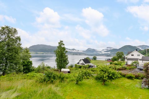 Bilde 2 av annonsen