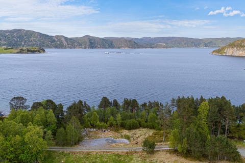 Bilde 2 av annonsen