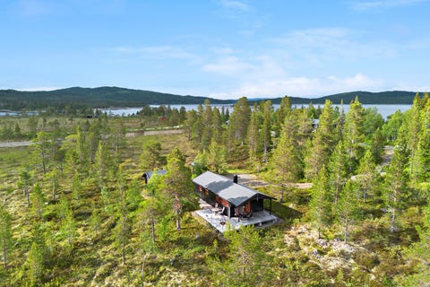 Bilde 1 av annonsen