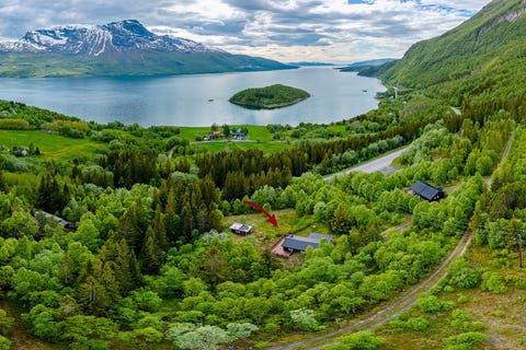 Bilde 1 av annonsen