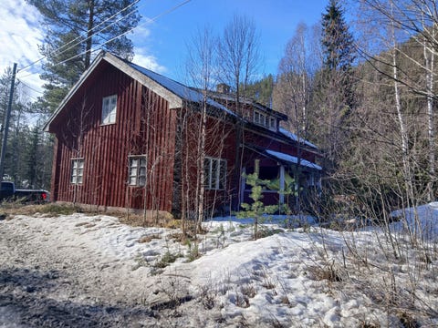 Bilde 1 av annonsen