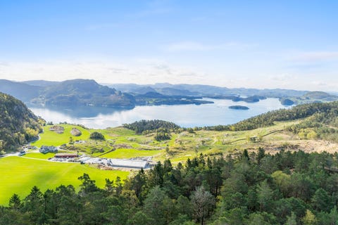 Bilde 1 av annonsen
