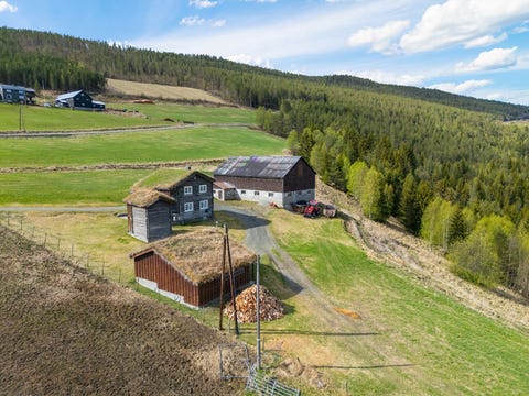 Sjolivegen 1225