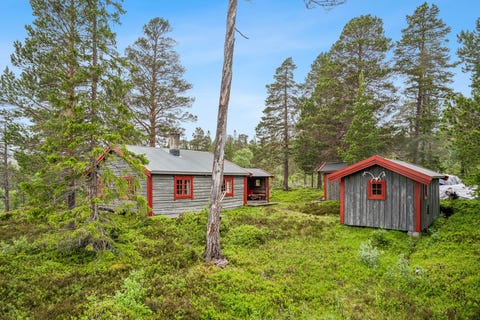 Bilde 1 av annonsen