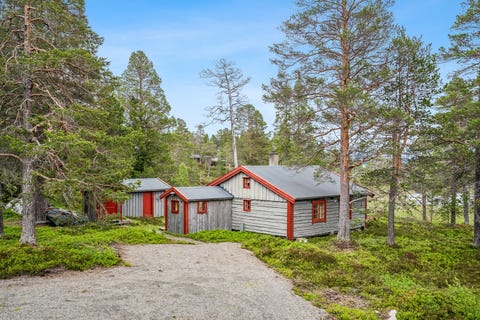 Bilde 1 av annonsen