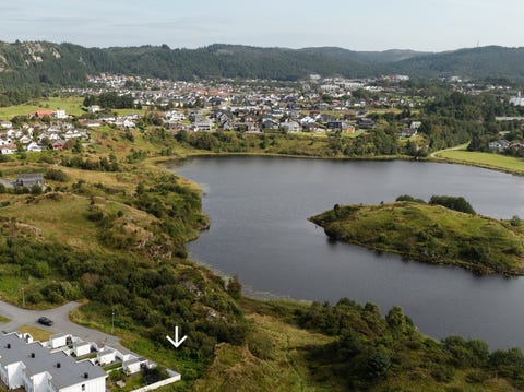 Bilde 2 av annonsen