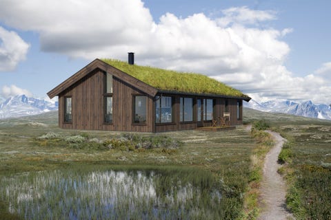 Bilde 1 av annonsen