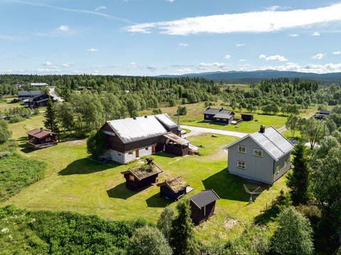 Bilde 1 av annonsen