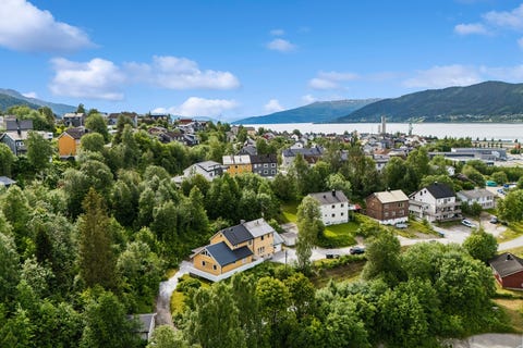 Bilde 1 av annonsen