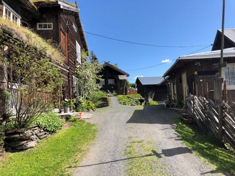 Bilde 1 av annonsen