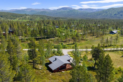 Bilde 2 av annonsen