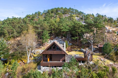 Bilde 2 av annonsen