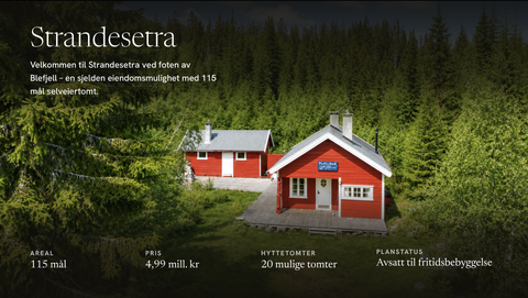 Bilde 1 av annonsen
