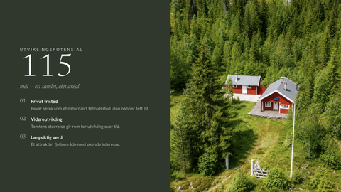 Bilde 2 av annonsen