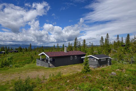 Bilde 1 av annonsen