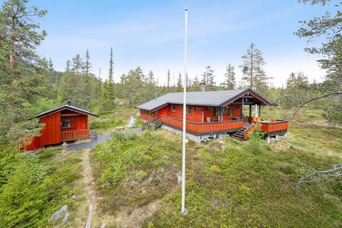 Bilde 1 av annonsen
