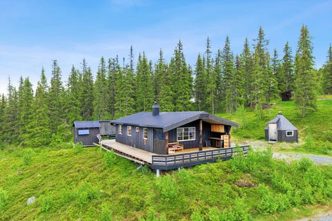 Bilde 1 av annonsen