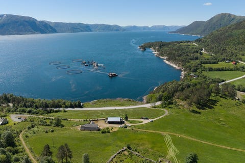Bilde 1 av annonsen