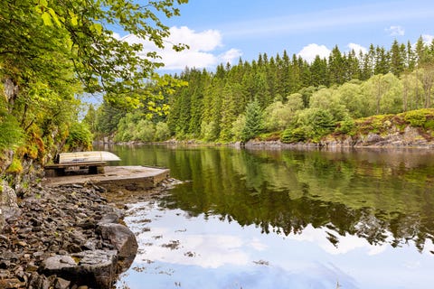 Bilde 2 av annonsen