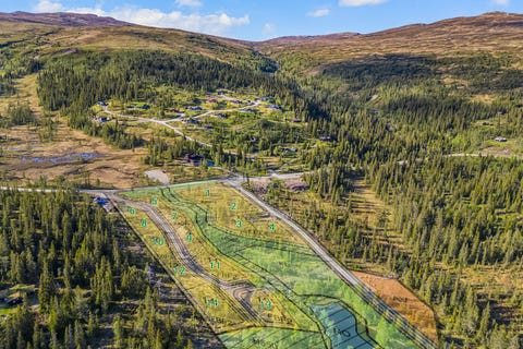 Bilde 1 av annonsen