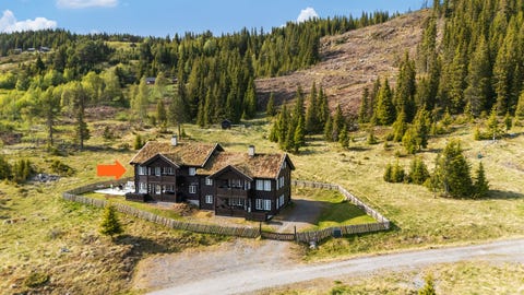 Bilde 1 av annonsen
