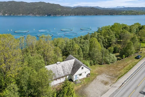 Bilde 2 av annonsen