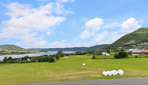 Bilde 2 av annonsen