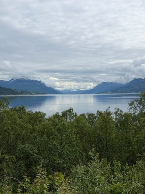 Bilde 2 av annonsen